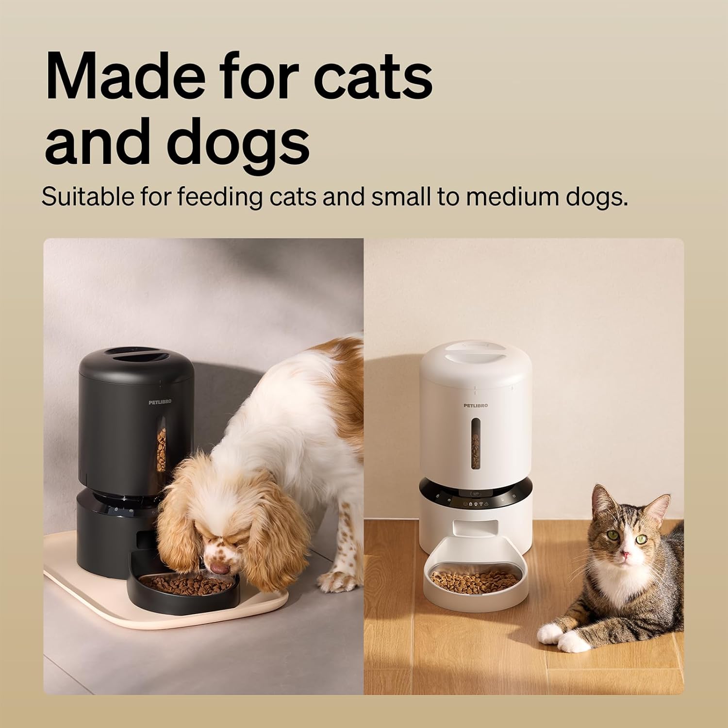 Automatic Cat Feeder with Camera