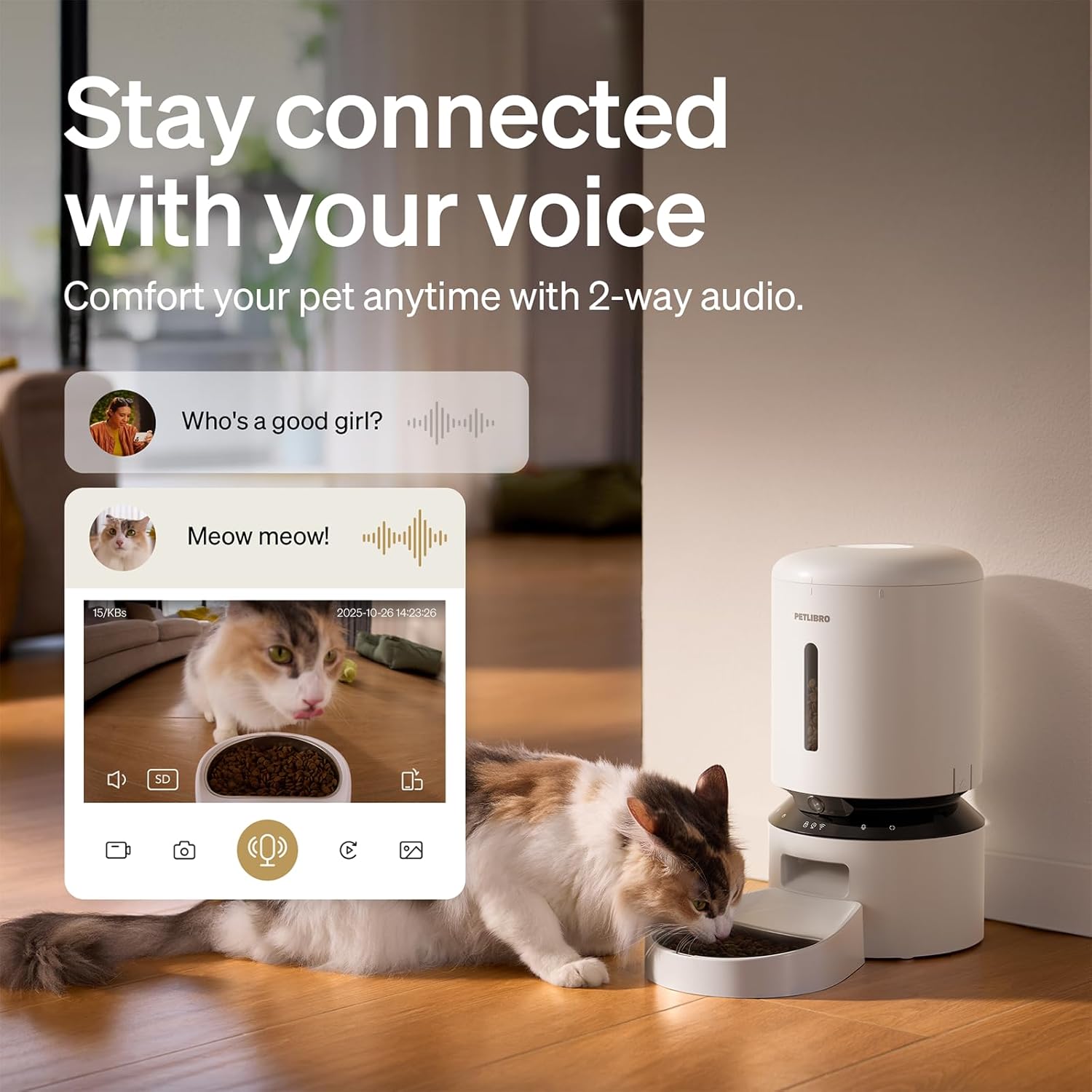 Automatic Cat Feeder with Camera