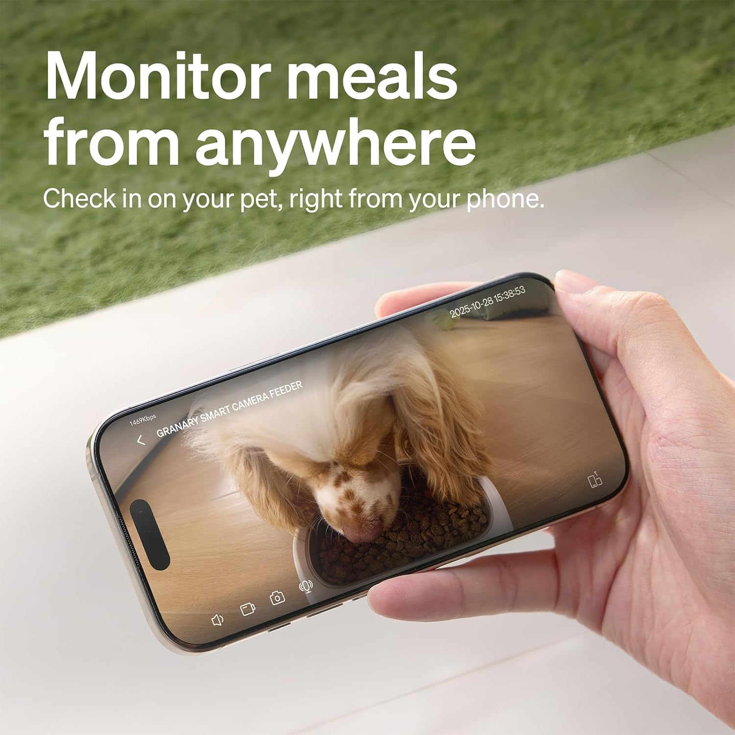Automatic Cat Feeder with Camera