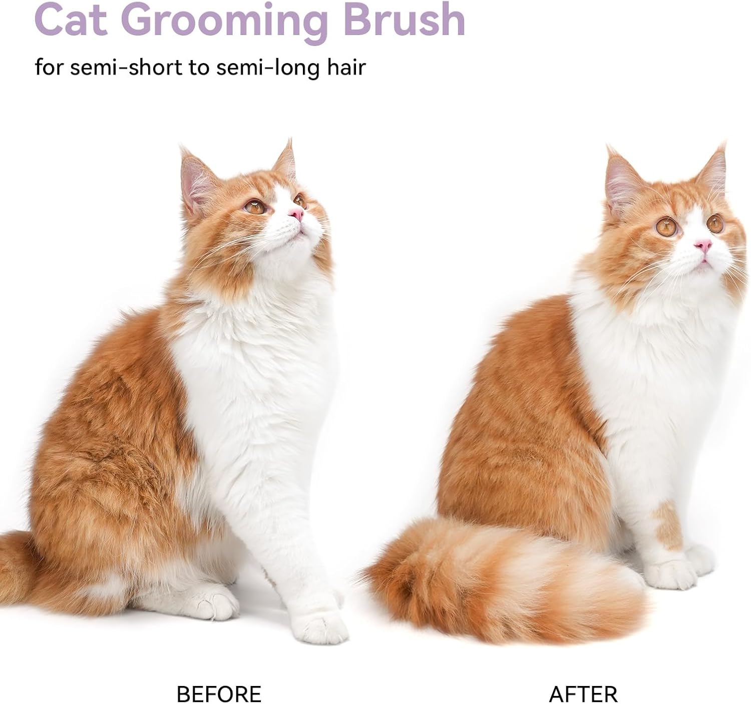 Cat Brush for Shedding