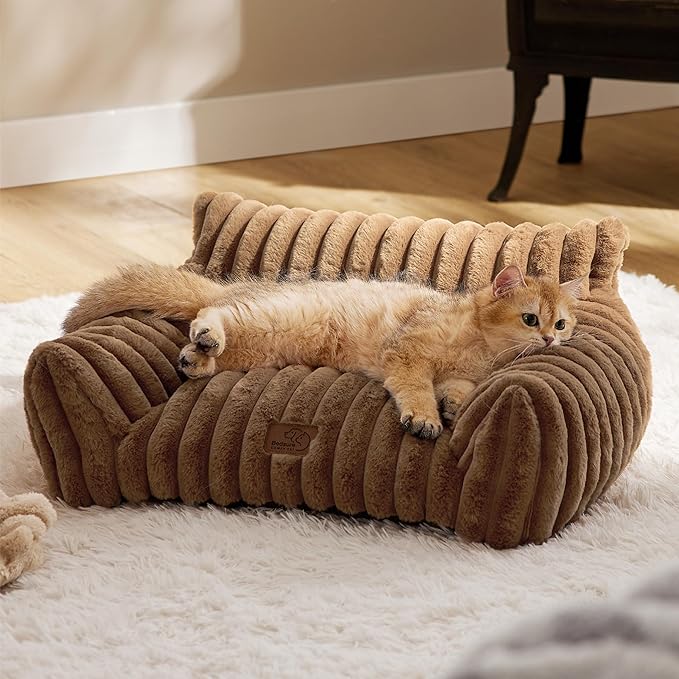 Cute Cat Couch