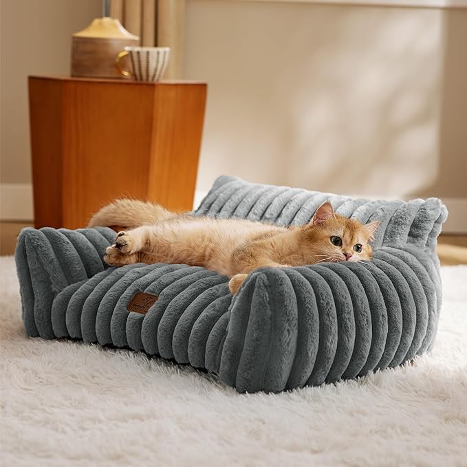 Cute Cat Couch