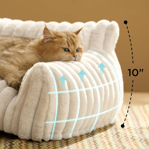 Cute Cat Couch