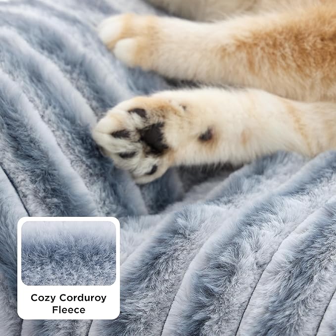 Cute Cat Couch