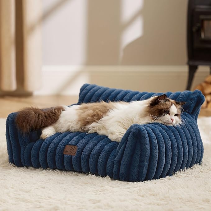 Cute Cat Couch