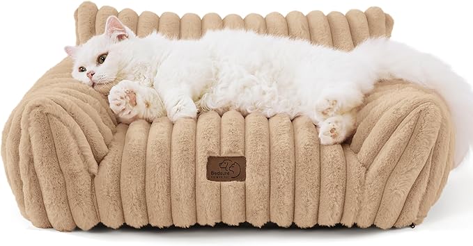 Cute Cat Couch