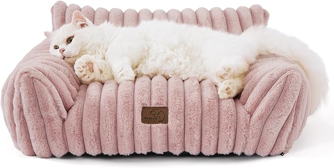 Cute Cat Couch