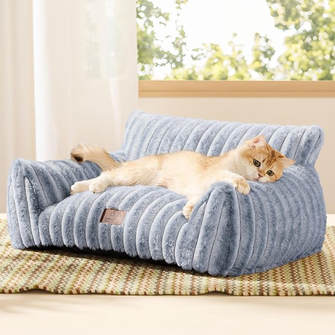 Cute Cat Couch