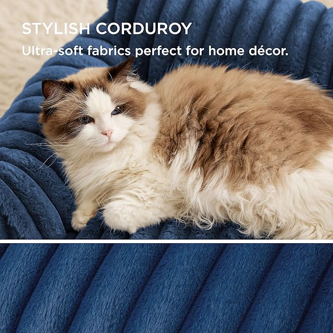 Cute Cat Couch